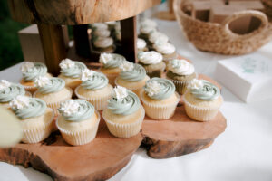 Buffalo Botanical Gardens Elopement Photographer